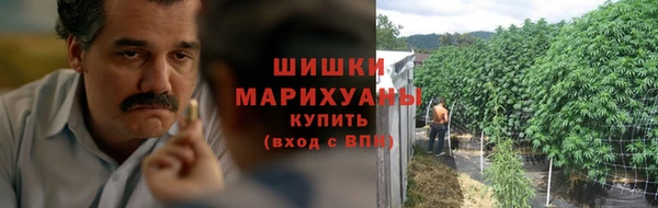 ПСИЛОЦИБИНОВЫЕ ГРИБЫ Арсеньев
