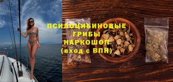 ПСИЛОЦИБИНОВЫЕ ГРИБЫ Арсеньев