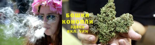 ГАЛЛЮЦИНОГЕННЫЕ ГРИБЫ Каменск-Шахтинский