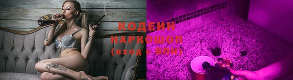 ПСИЛОЦИБИНОВЫЕ ГРИБЫ Арсеньев