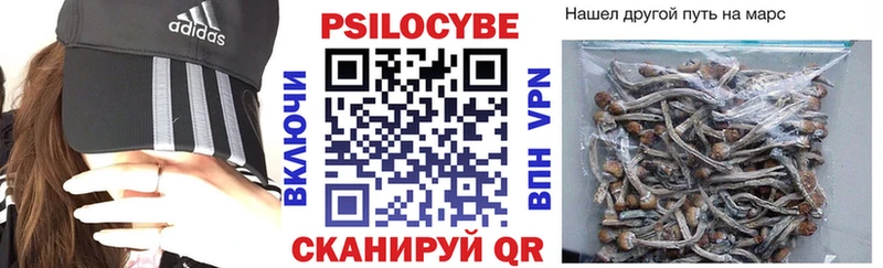 как найти наркотики Покровск Галлюциногенные грибы Psilocybine cubensis